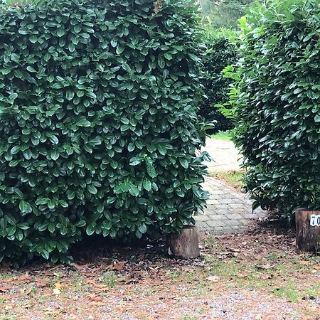 Hattemerbroek Vrijstaand Chalet In Bosparkヴィラ エクステリア 写真