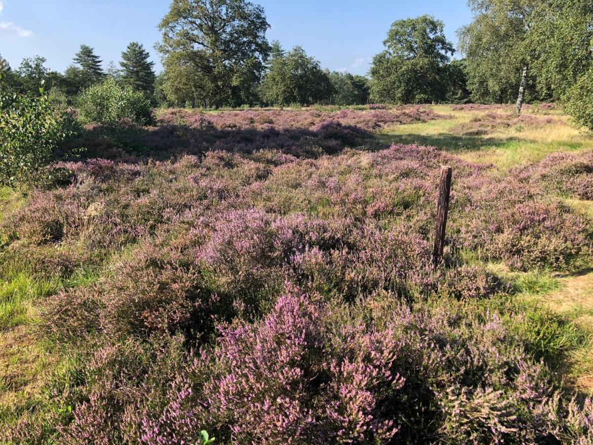 Hattemerbroek Vrijstaand Chalet In Bosparkヴィラ エクステリア 写真