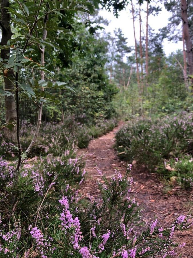 Hattemerbroek Vrijstaand Chalet In Bosparkヴィラ エクステリア 写真